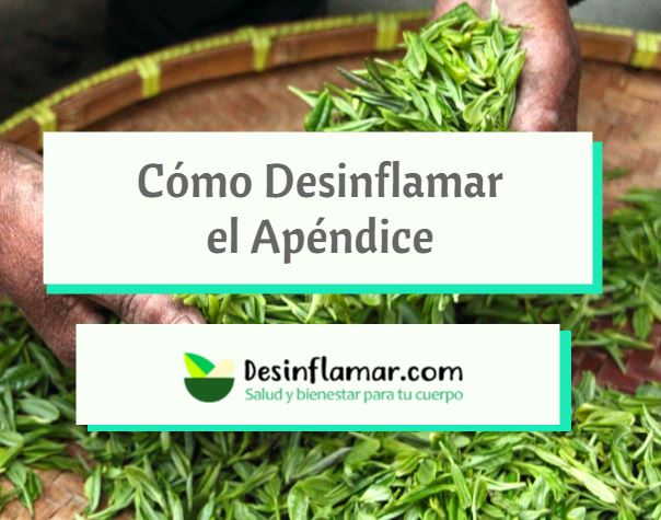 Desinflamar el Apéndice de Forma Natural y Casera