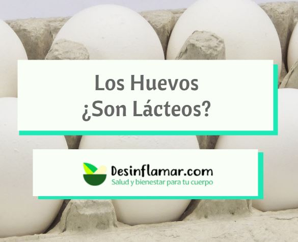 Los Huevos ¿Son Lácteos? Sus Beneficios y Características