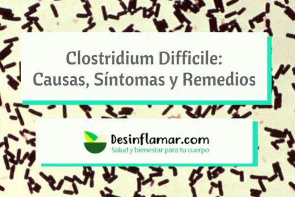 Bacteria Clostridium Difficile