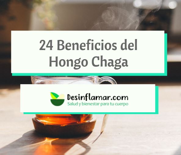 Beneficios del Hongo Chaga