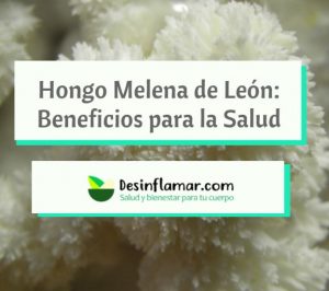 Hongo Melena de Leon Beneficios