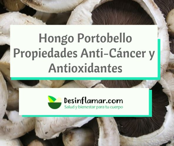 25 Propiedades y Beneficios del Hongo Portobello 🍄 para la Salud