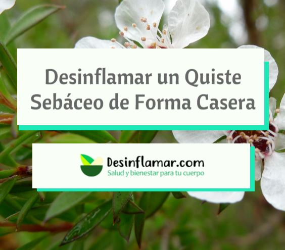 19 Formas Naturales y Caseras De Eliminar Un Quiste Sebáceo